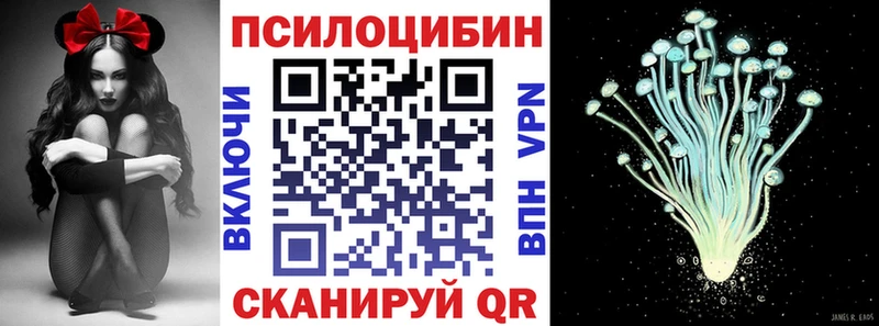 Псилоцибиновые грибы Psilocybe  Салехард 